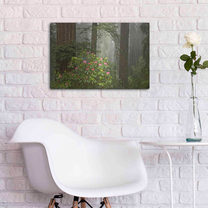 Luxe Metal Art 'Redwood Fog Rhododendrons' by Mike Jones, Metal Wall Art,24x16