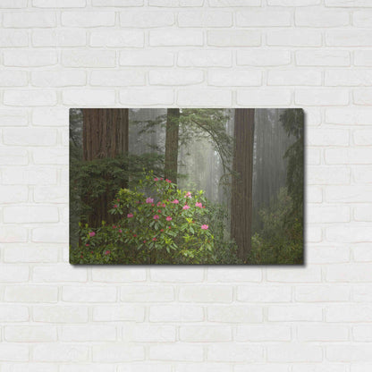 Luxe Metal Art 'Redwood Fog Rhododendrons' by Mike Jones, Metal Wall Art,36x24