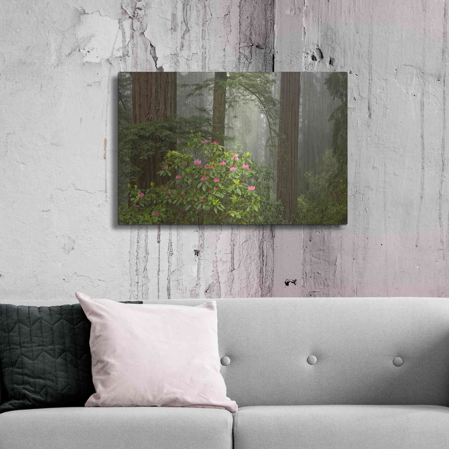 Luxe Metal Art 'Redwood Fog Rhododendrons' by Mike Jones, Metal Wall Art,36x24