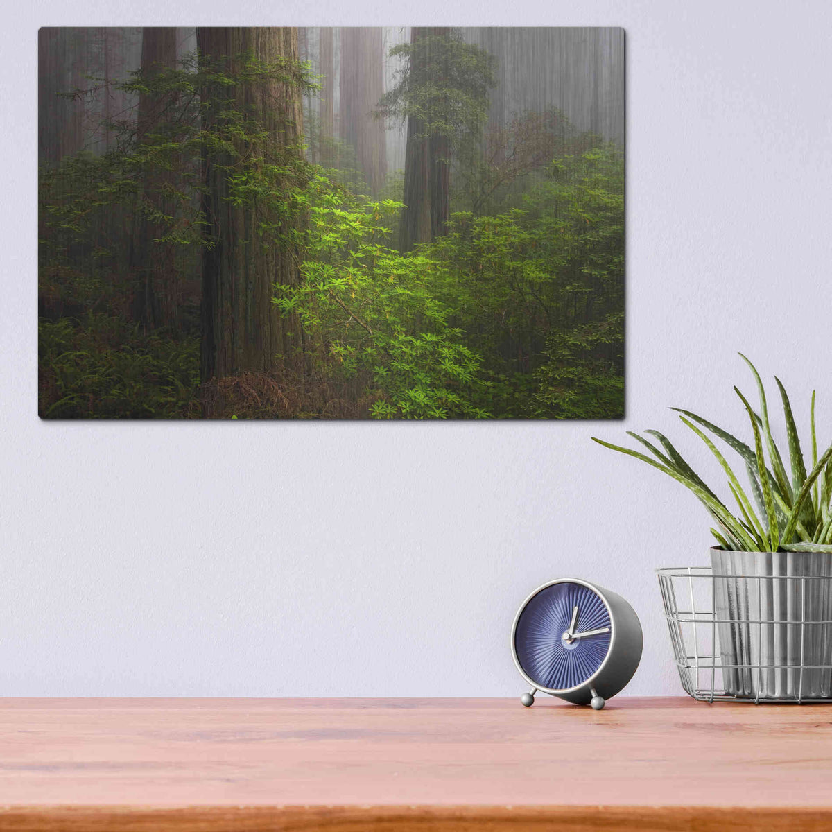 Luxe Metal Art 'Redwoods Fog' by Mike Jones, Metal Wall Art,16x12