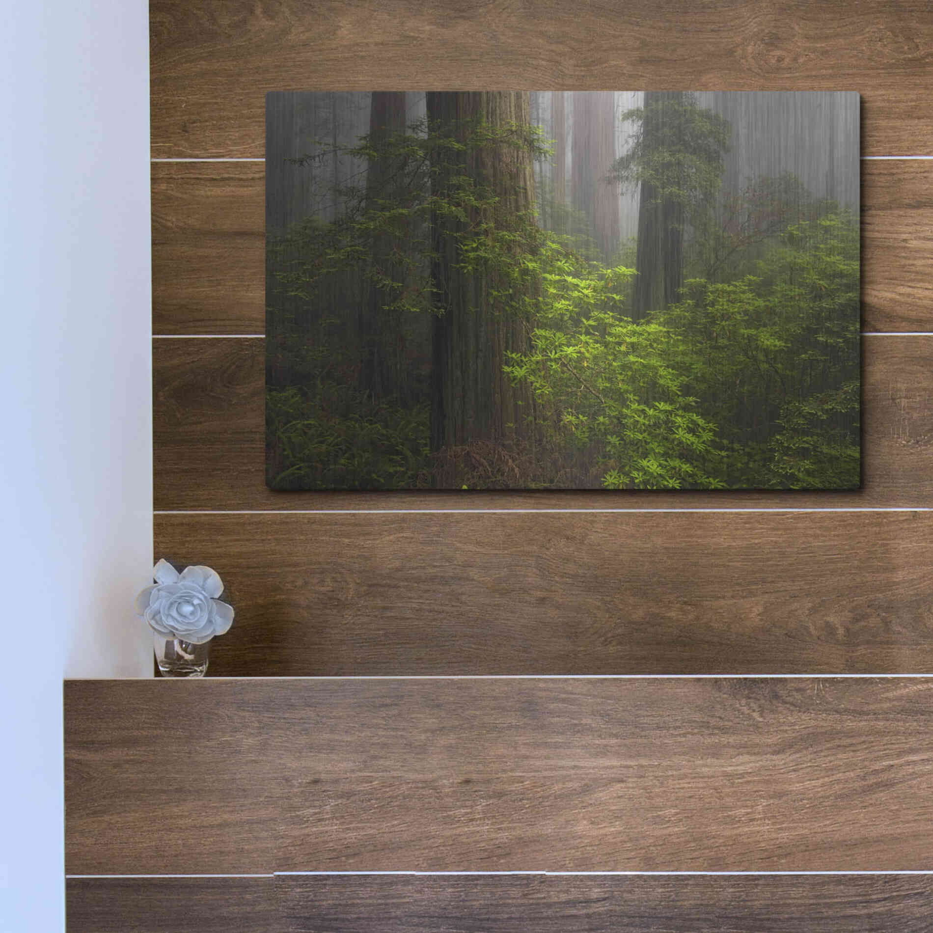 Luxe Metal Art 'Redwoods Fog' by Mike Jones, Metal Wall Art,16x12