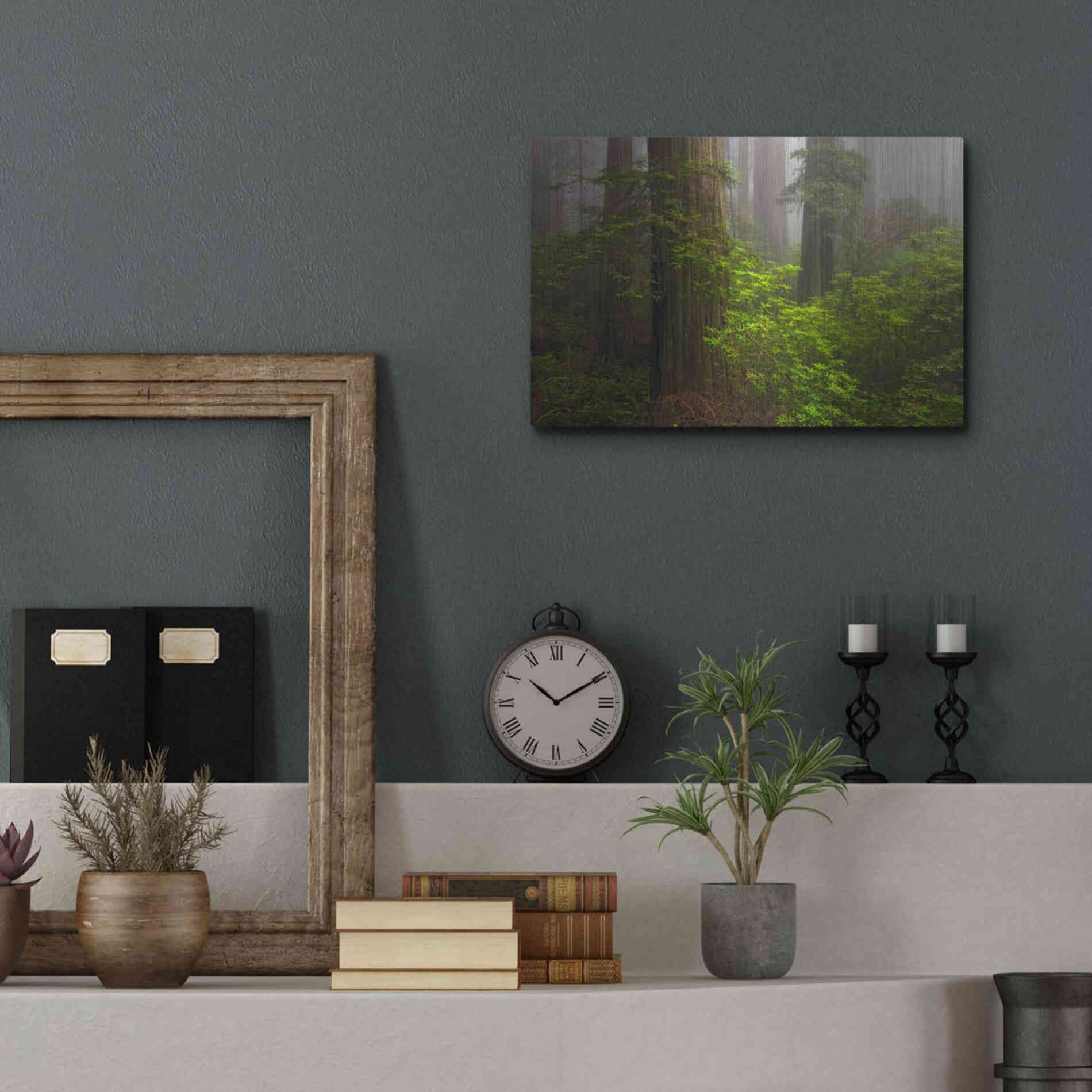 Luxe Metal Art 'Redwoods Fog' by Mike Jones, Metal Wall Art,16x12