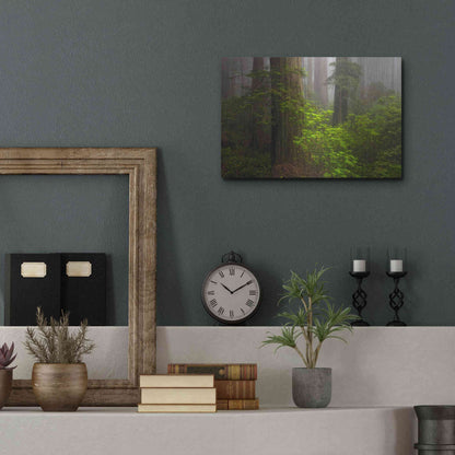 Luxe Metal Art 'Redwoods Fog' by Mike Jones, Metal Wall Art,16x12