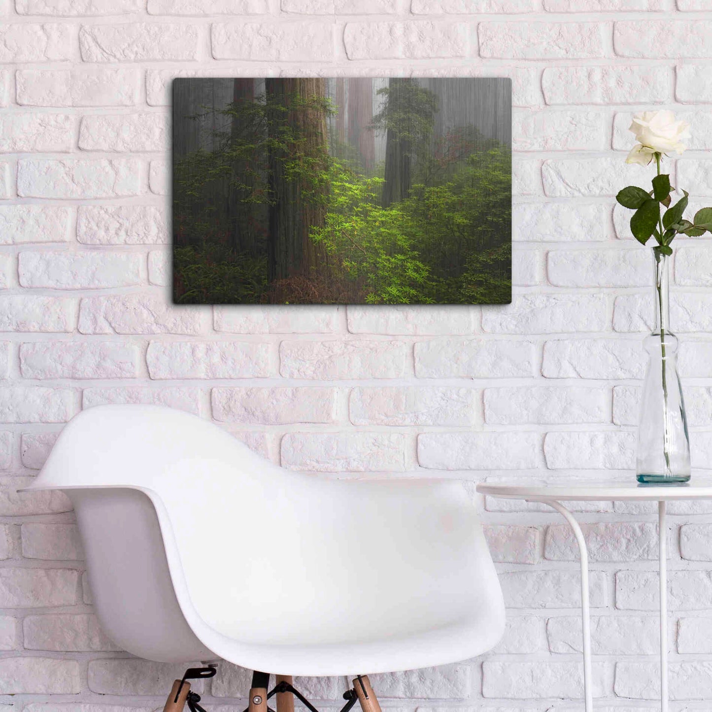 Luxe Metal Art 'Redwoods Fog' by Mike Jones, Metal Wall Art,24x16