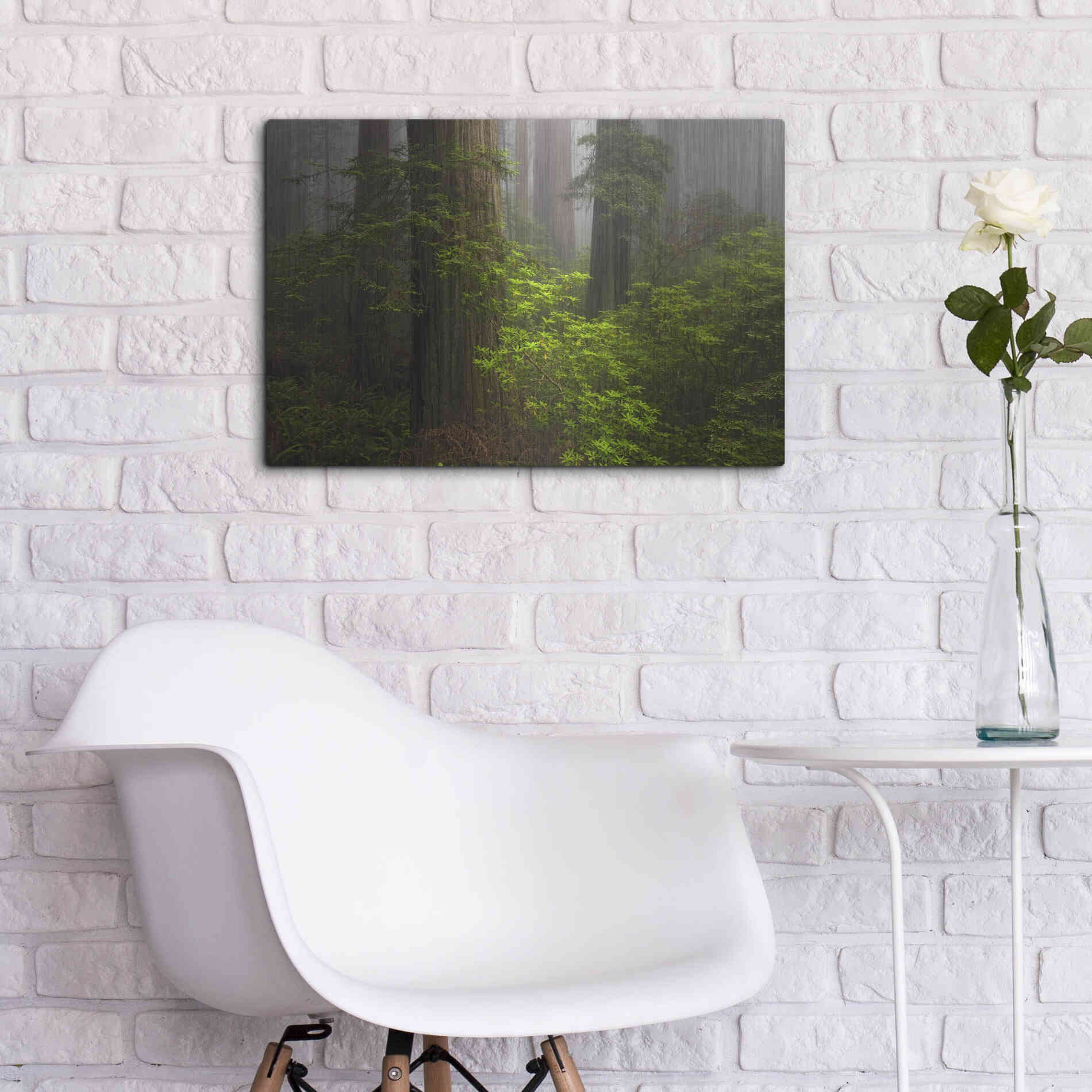 Luxe Metal Art 'Redwoods Fog' by Mike Jones, Metal Wall Art,24x16