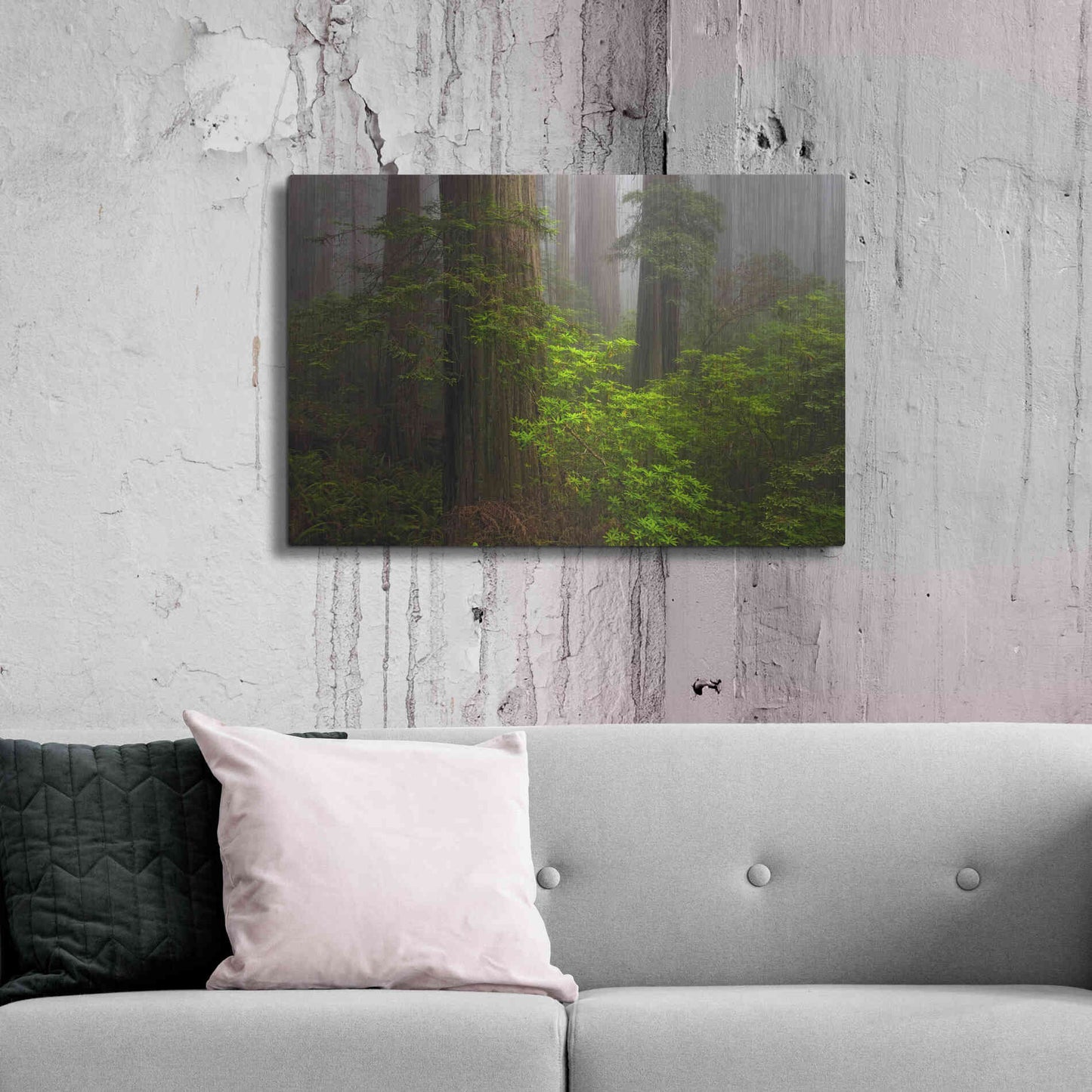 Luxe Metal Art 'Redwoods Fog' by Mike Jones, Metal Wall Art,36x24