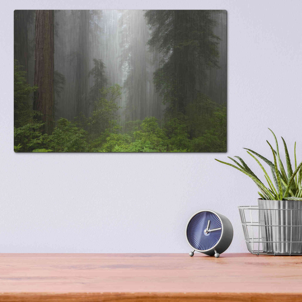 Luxe Metal Art 'Redwoods NP Fog' by Mike Jones, Metal Wall Art,16x12