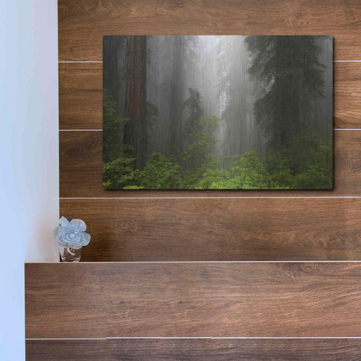 Luxe Metal Art 'Redwoods NP Fog' by Mike Jones, Metal Wall Art,16x12