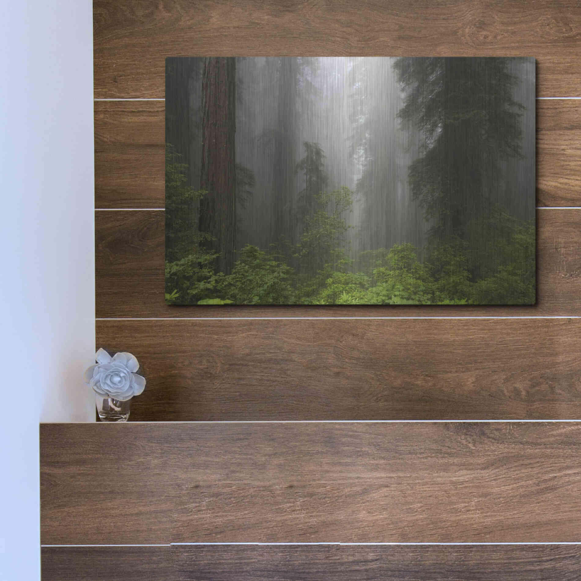 Luxe Metal Art 'Redwoods NP Fog' by Mike Jones, Metal Wall Art,16x12