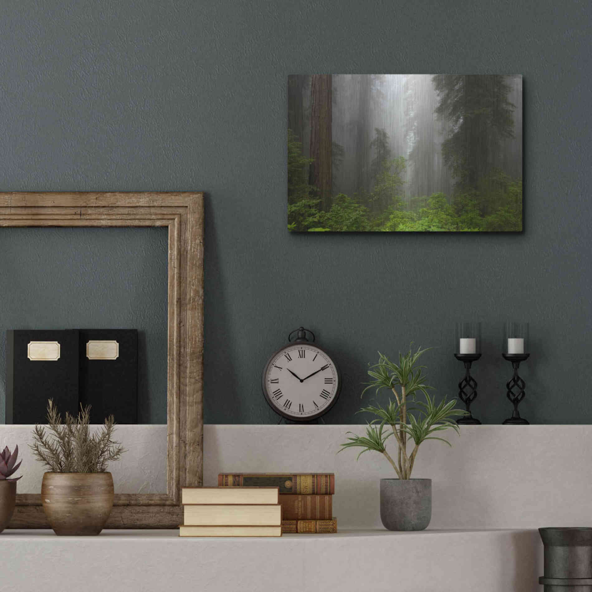 Luxe Metal Art 'Redwoods NP Fog' by Mike Jones, Metal Wall Art,16x12