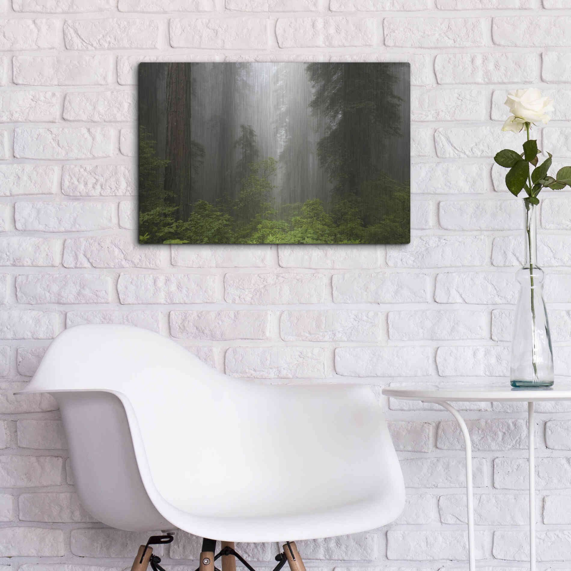 Luxe Metal Art 'Redwoods NP Fog' by Mike Jones, Metal Wall Art,24x16