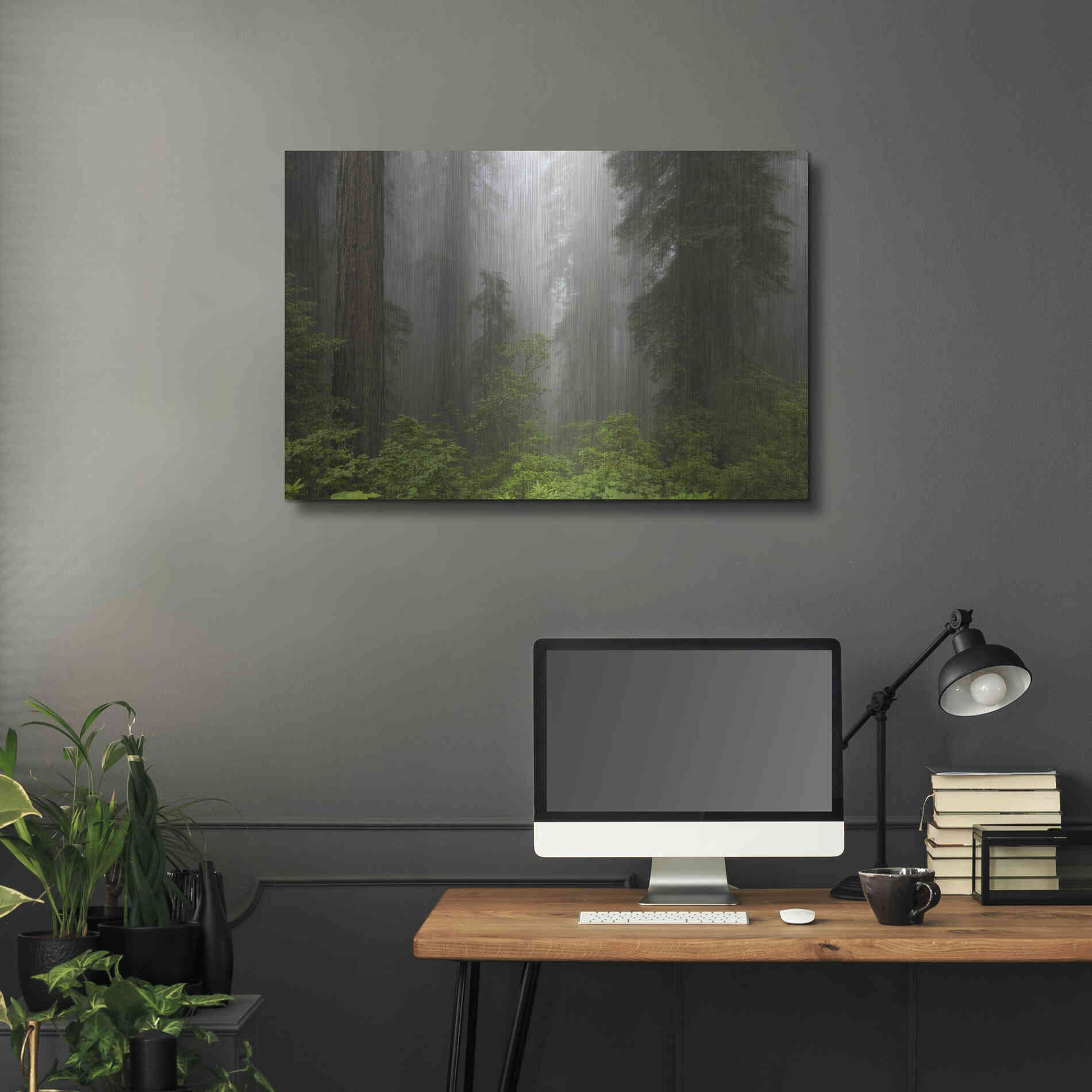 Luxe Metal Art 'Redwoods NP Fog' by Mike Jones, Metal Wall Art,36x24