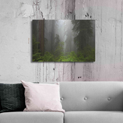 Luxe Metal Art 'Redwoods NP Fog' by Mike Jones, Metal Wall Art,36x24