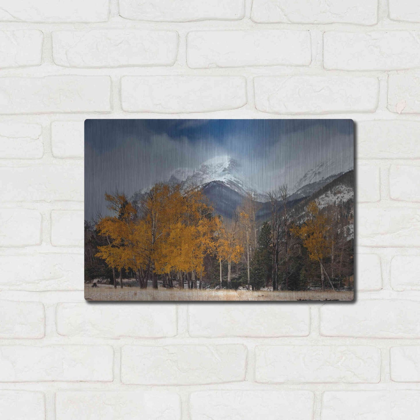 Luxe Metal Art 'RMNP Aspens and Storm Clouds' by Mike Jones, Metal Wall Art,16x12