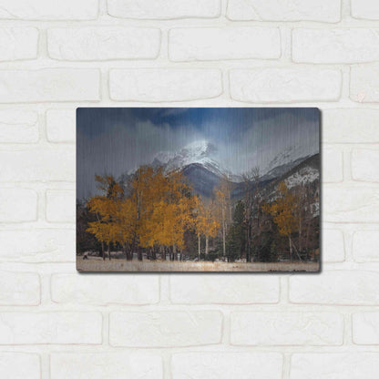 Luxe Metal Art 'RMNP Aspens and Storm Clouds' by Mike Jones, Metal Wall Art,16x12