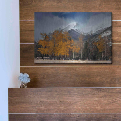 Luxe Metal Art 'RMNP Aspens and Storm Clouds' by Mike Jones, Metal Wall Art,16x12