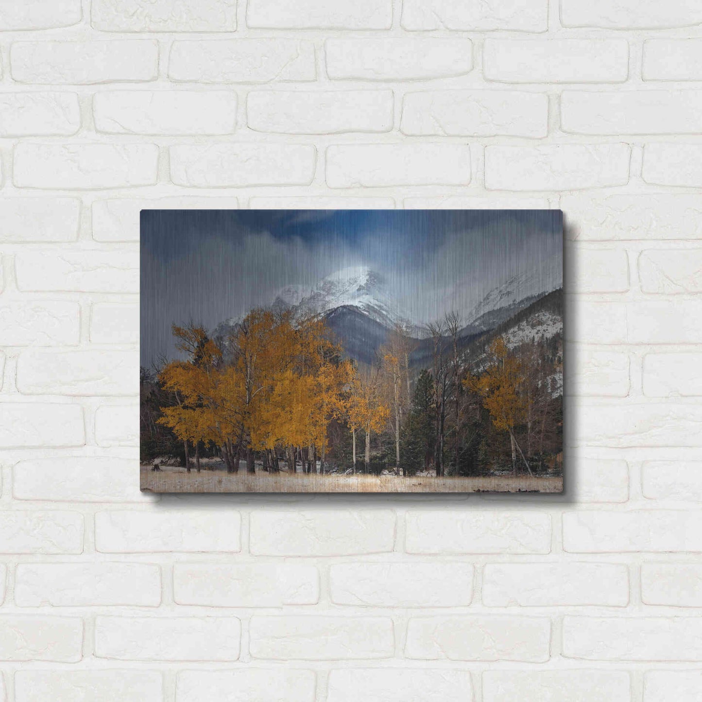 Luxe Metal Art 'RMNP Aspens and Storm Clouds' by Mike Jones, Metal Wall Art,24x16