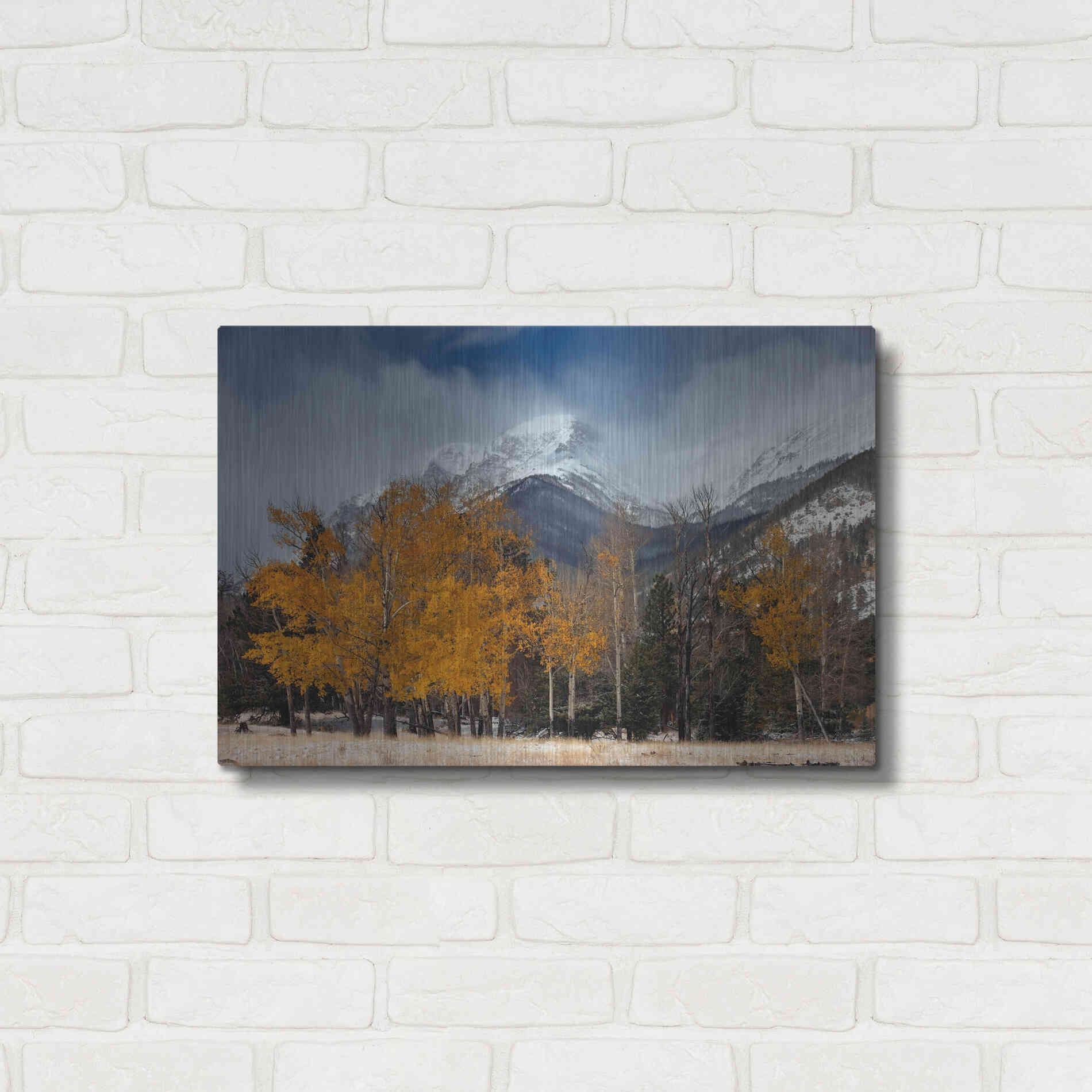 Luxe Metal Art 'RMNP Aspens and Storm Clouds' by Mike Jones, Metal Wall Art,24x16