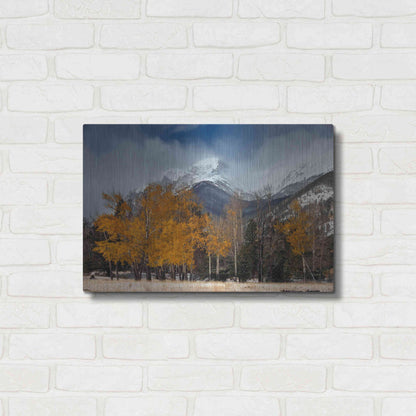 Luxe Metal Art 'RMNP Aspens and Storm Clouds' by Mike Jones, Metal Wall Art,24x16