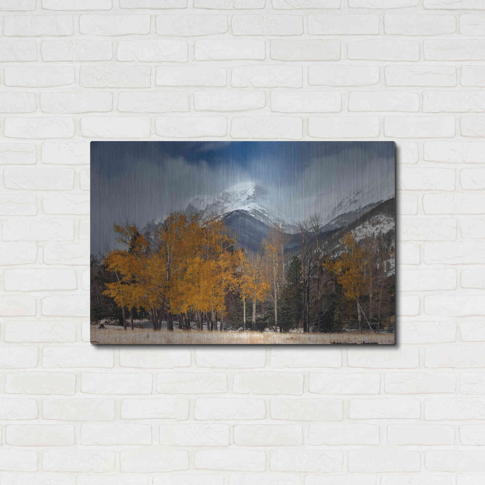Luxe Metal Art 'RMNP Aspens and Storm Clouds' by Mike Jones, Metal Wall Art,36x24