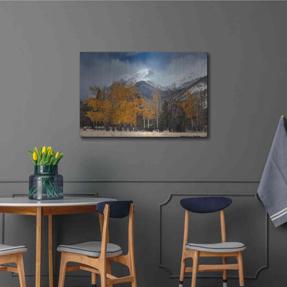 Luxe Metal Art 'RMNP Aspens and Storm Clouds' by Mike Jones, Metal Wall Art,36x24