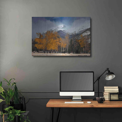 Luxe Metal Art 'RMNP Aspens and Storm Clouds' by Mike Jones, Metal Wall Art,36x24