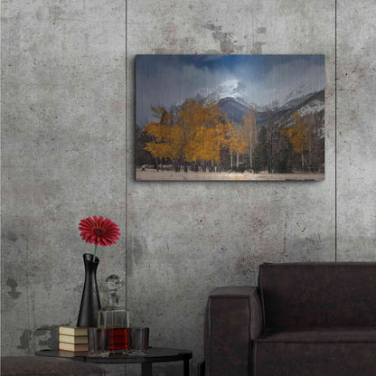 Luxe Metal Art 'RMNP Aspens and Storm Clouds' by Mike Jones, Metal Wall Art,36x24
