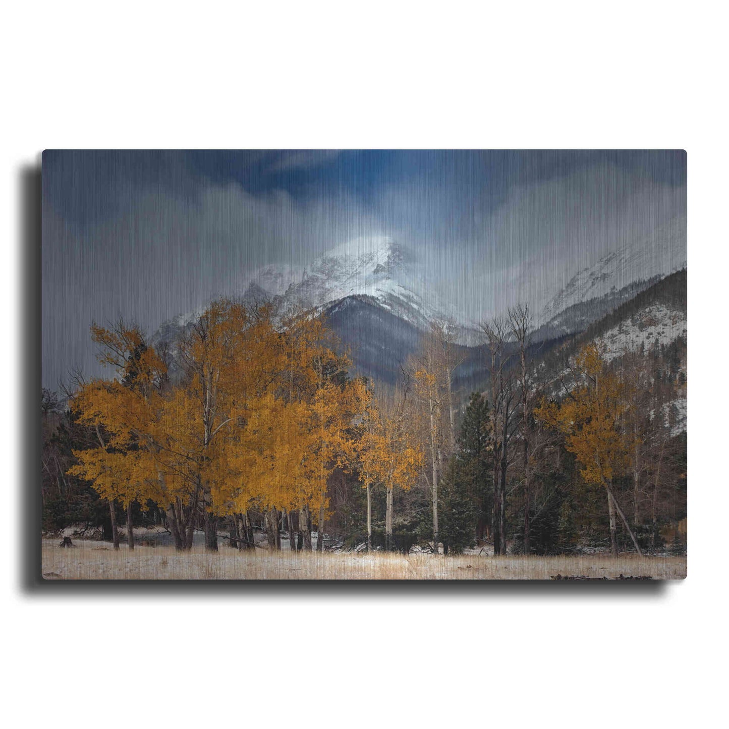 Luxe Metal Art 'RMNP Aspens and Storm Clouds' by Mike Jones, Metal Wall Art