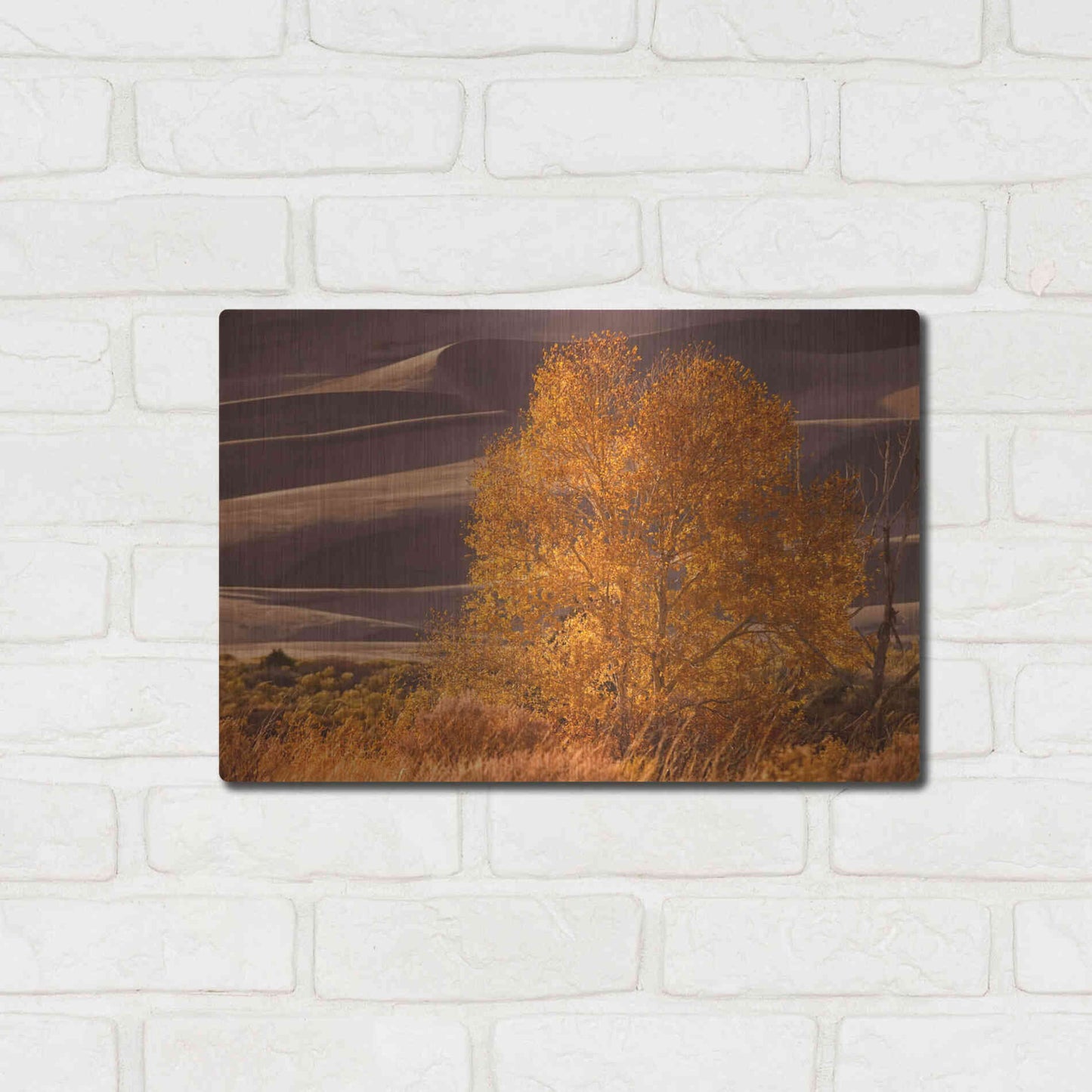 Luxe Metal Art 'Sand Dunes NP' by Mike Jones, Metal Wall Art,16x12