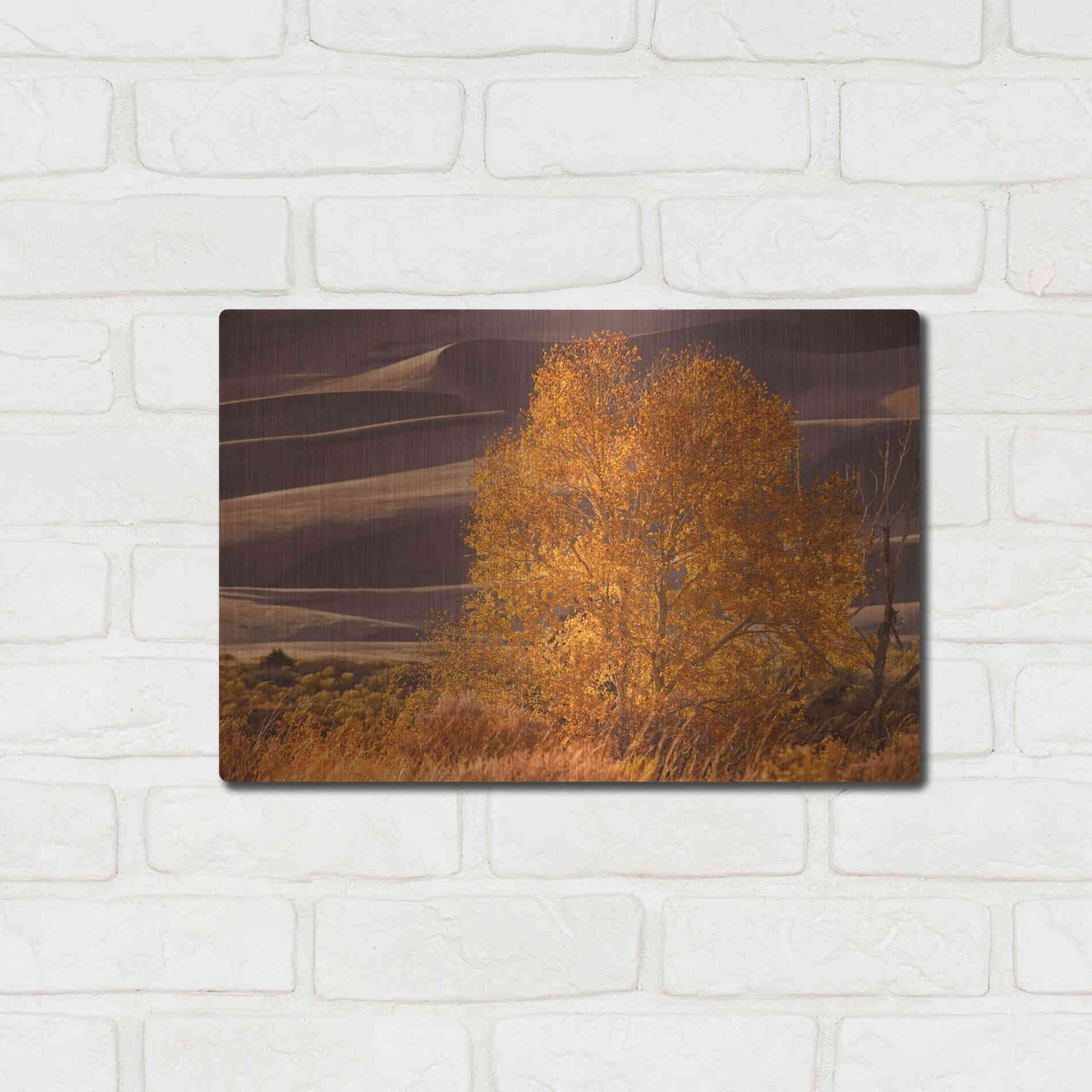 Luxe Metal Art 'Sand Dunes NP' by Mike Jones, Metal Wall Art,16x12