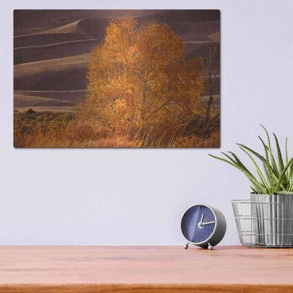 Luxe Metal Art 'Sand Dunes NP' by Mike Jones, Metal Wall Art,16x12
