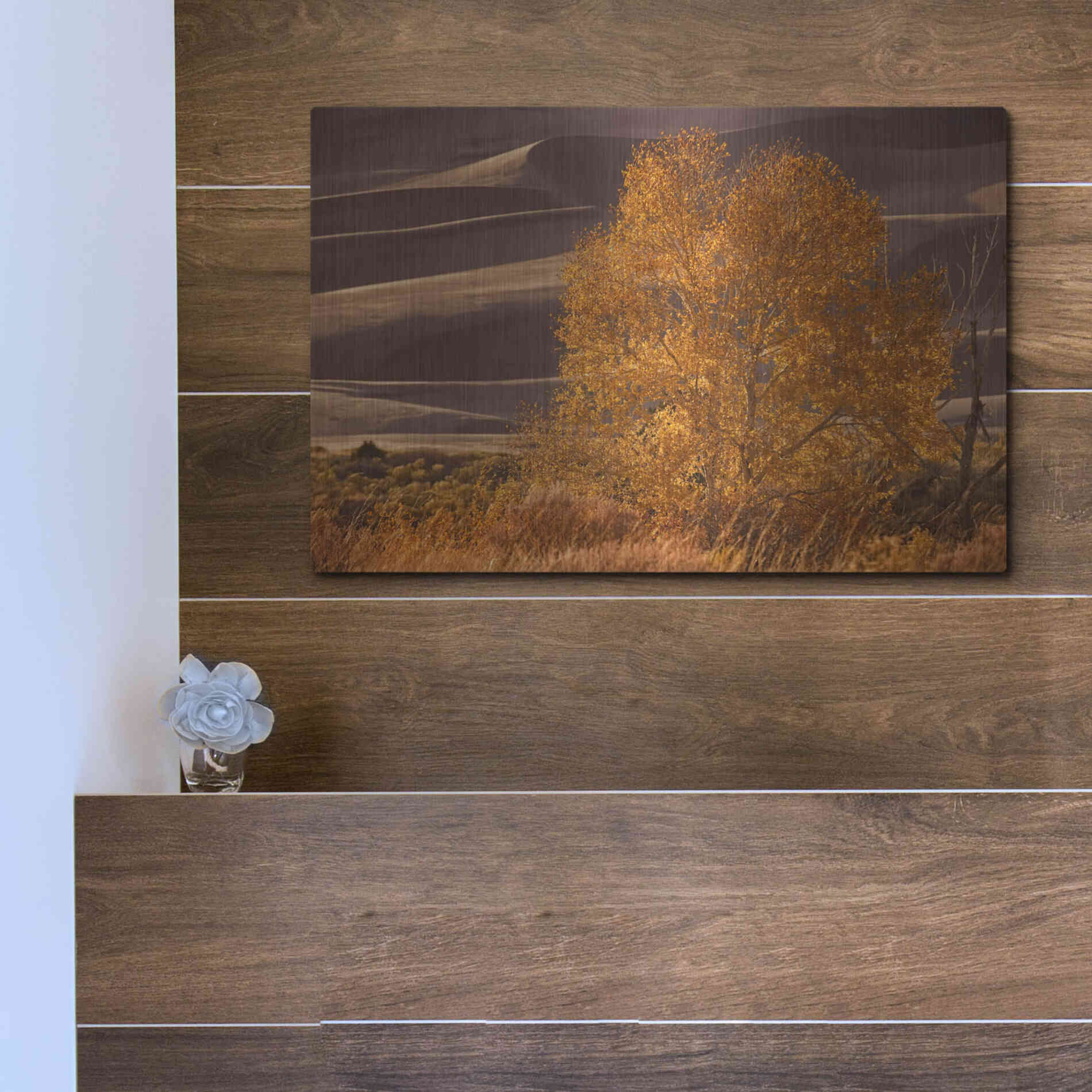 Luxe Metal Art 'Sand Dunes NP' by Mike Jones, Metal Wall Art,16x12