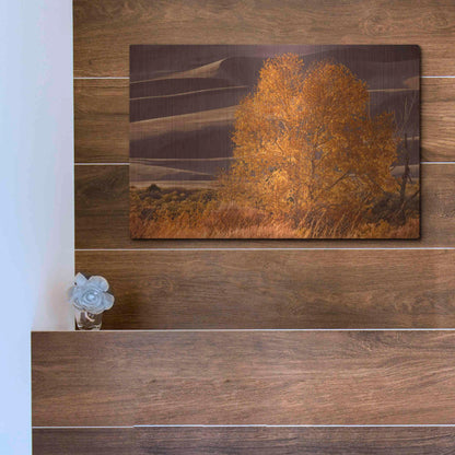Luxe Metal Art 'Sand Dunes NP' by Mike Jones, Metal Wall Art,16x12