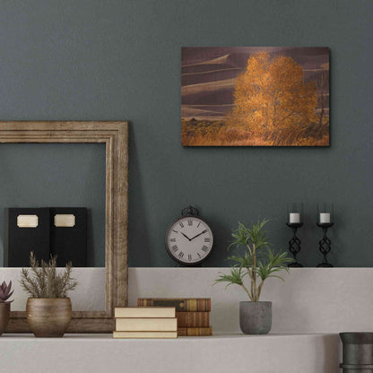 Luxe Metal Art 'Sand Dunes NP' by Mike Jones, Metal Wall Art,16x12