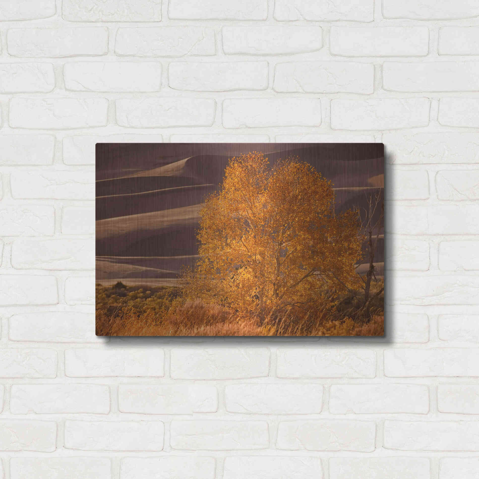 Luxe Metal Art 'Sand Dunes NP' by Mike Jones, Metal Wall Art,24x16