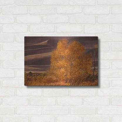 Luxe Metal Art 'Sand Dunes NP' by Mike Jones, Metal Wall Art,24x16