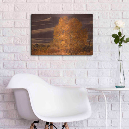 Luxe Metal Art 'Sand Dunes NP' by Mike Jones, Metal Wall Art,24x16