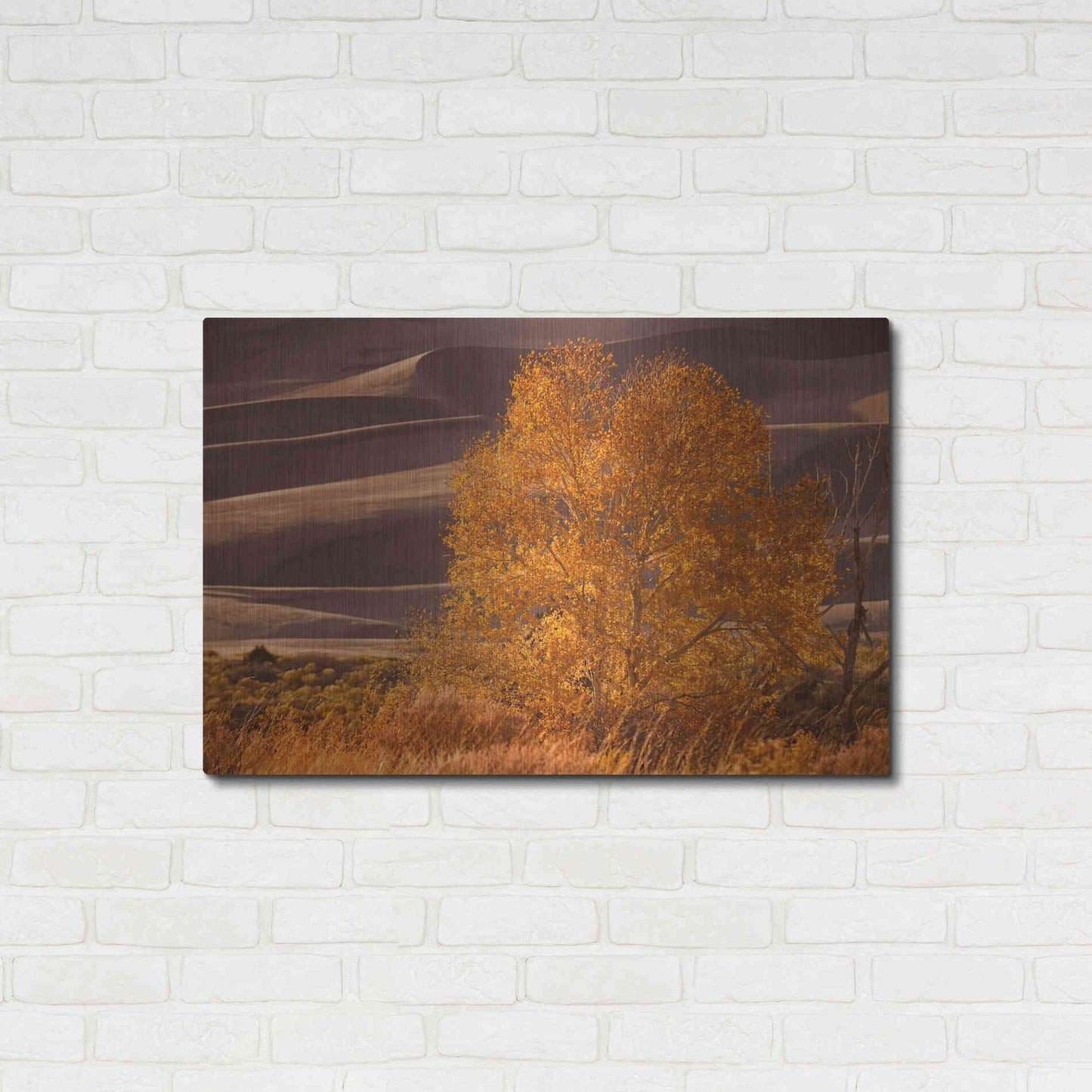 Luxe Metal Art 'Sand Dunes NP' by Mike Jones, Metal Wall Art,36x24