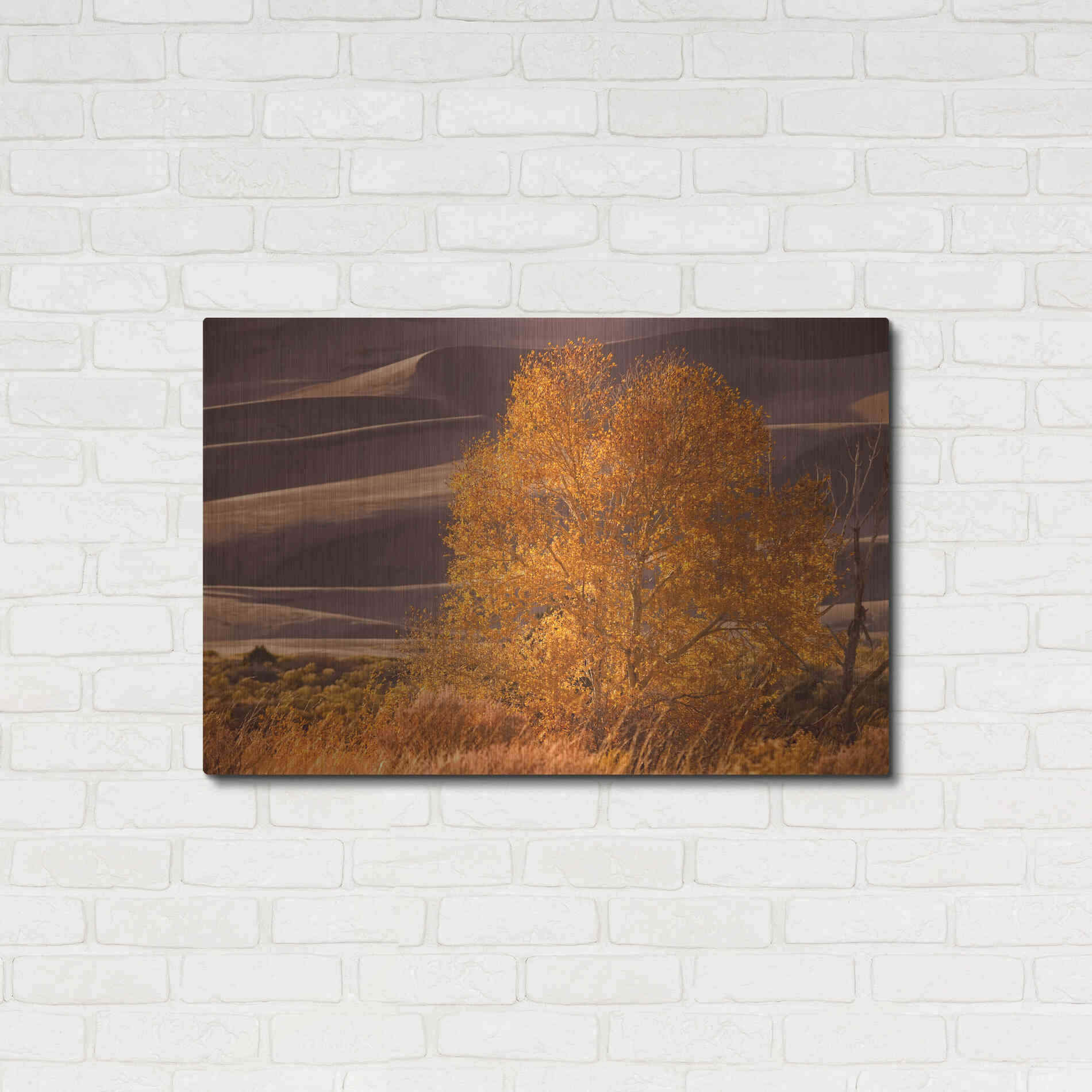 Luxe Metal Art 'Sand Dunes NP' by Mike Jones, Metal Wall Art,36x24