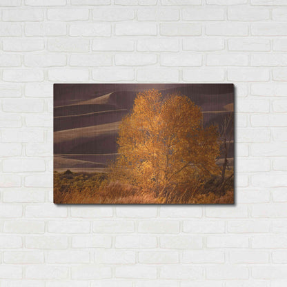 Luxe Metal Art 'Sand Dunes NP' by Mike Jones, Metal Wall Art,36x24