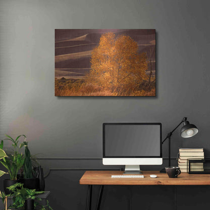 Luxe Metal Art 'Sand Dunes NP' by Mike Jones, Metal Wall Art,36x24