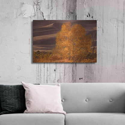 Luxe Metal Art 'Sand Dunes NP' by Mike Jones, Metal Wall Art,36x24