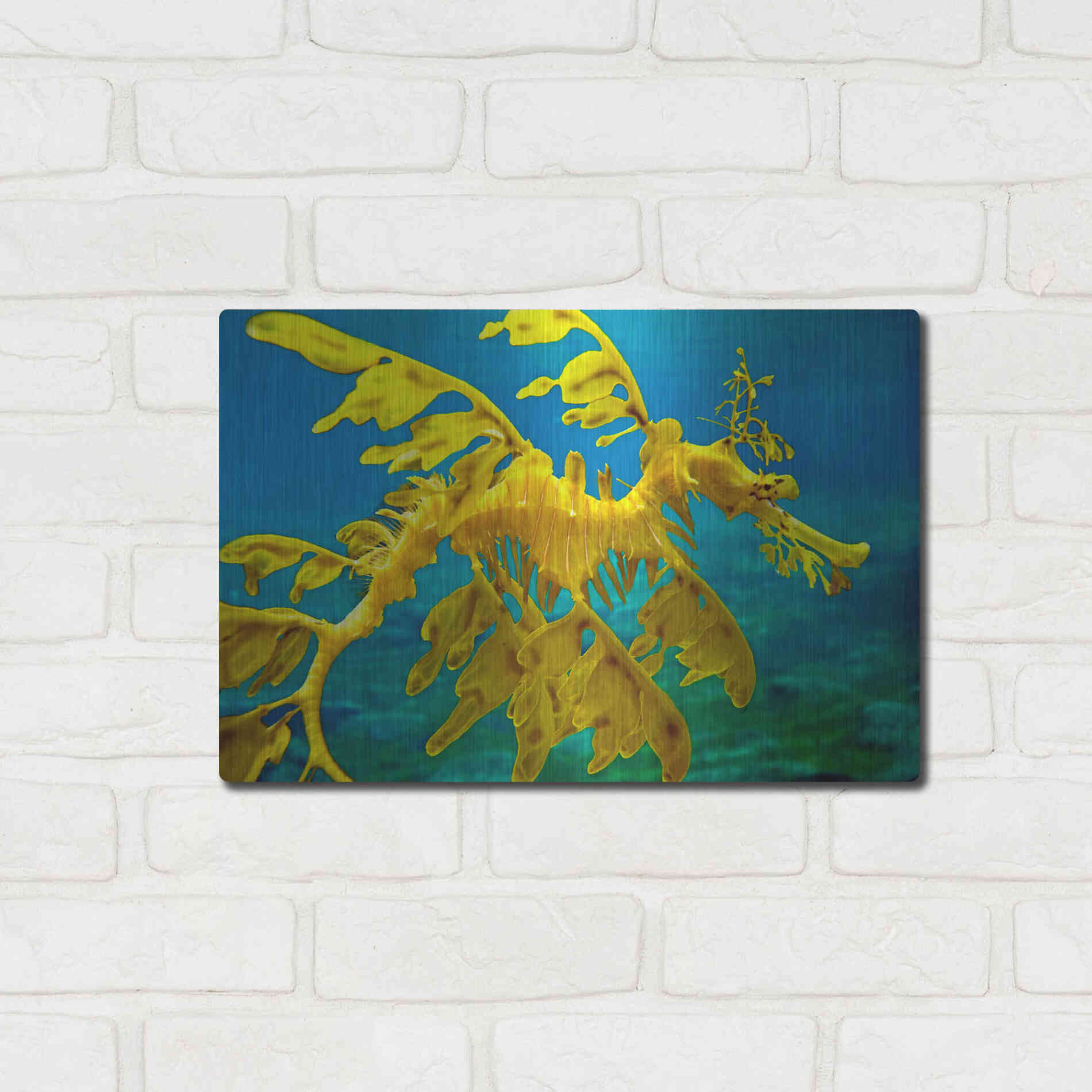 Luxe Metal Art 'Sea Dragon' by Mike Jones, Metal Wall Art,16x12