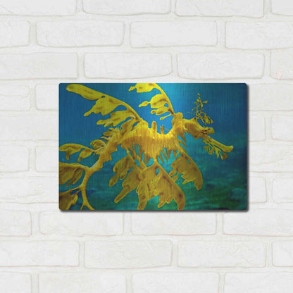 Luxe Metal Art 'Sea Dragon' by Mike Jones, Metal Wall Art,16x12
