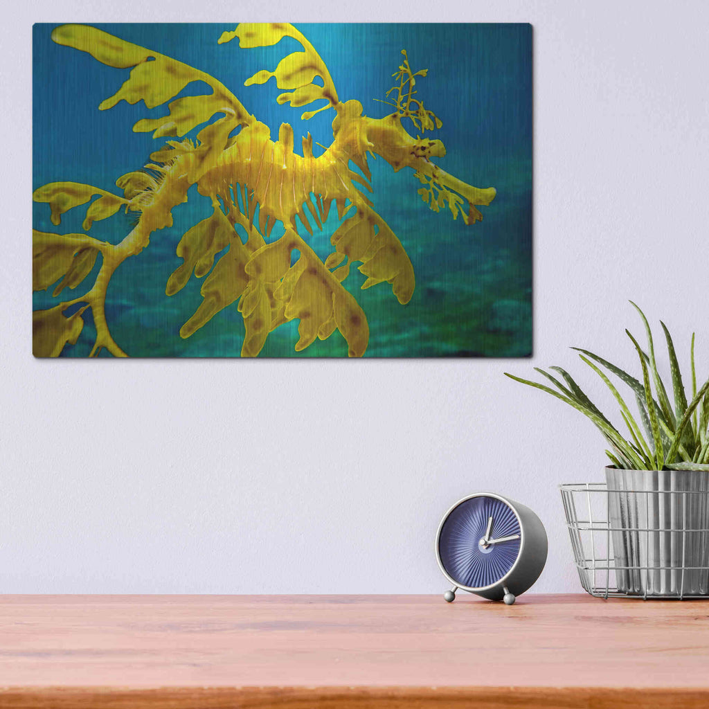 Luxe Metal Art 'Sea Dragon' by Mike Jones, Metal Wall Art,16x12