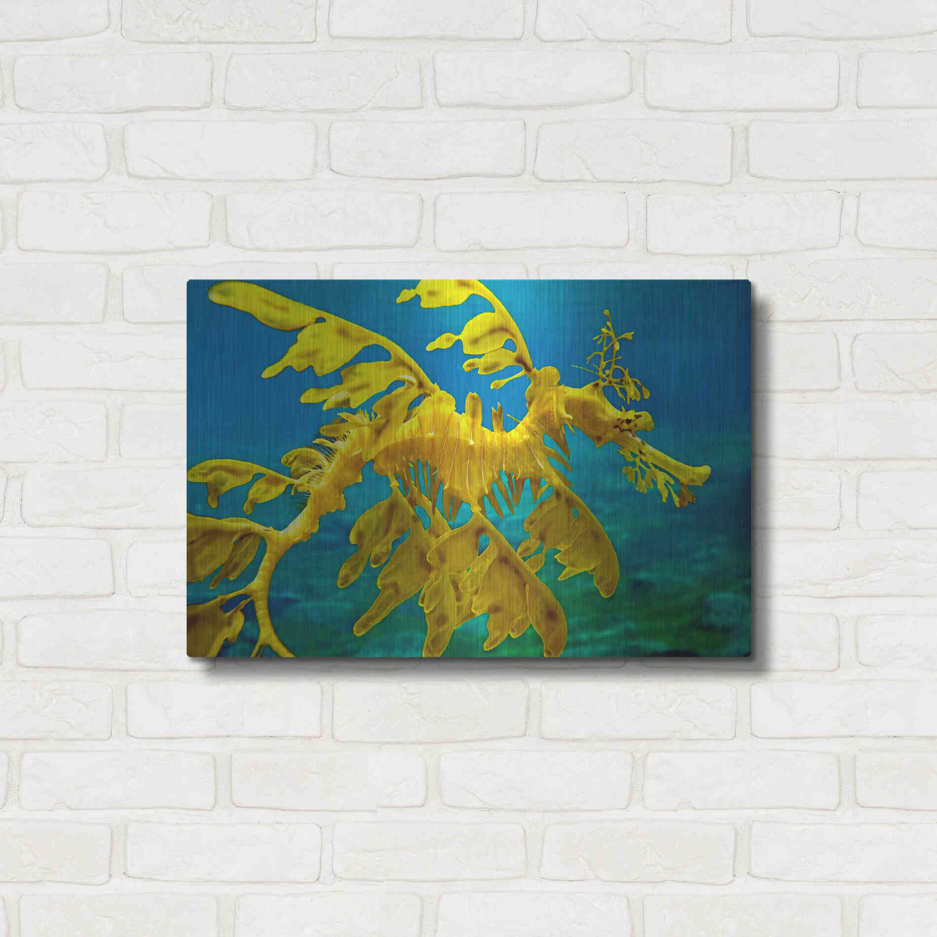 Luxe Metal Art 'Sea Dragon' by Mike Jones, Metal Wall Art,24x16