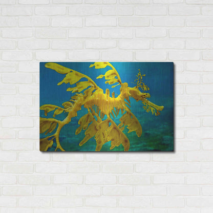 Luxe Metal Art 'Sea Dragon' by Mike Jones, Metal Wall Art,36x24