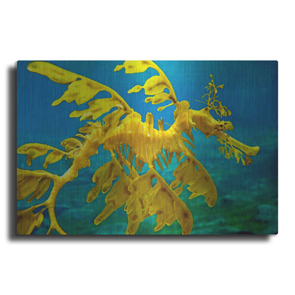 Luxe Metal Art 'Sea Dragon' by Mike Jones, Metal Wall Art