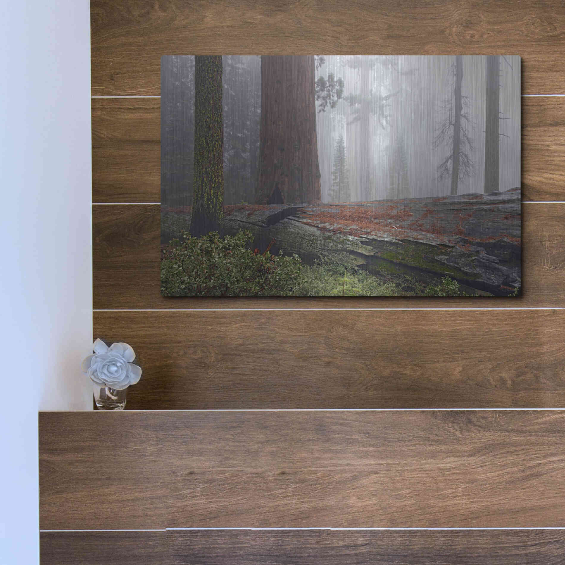 Luxe Metal Art 'Sequoia Fallen Giant' by Mike Jones, Metal Wall Art,16x12