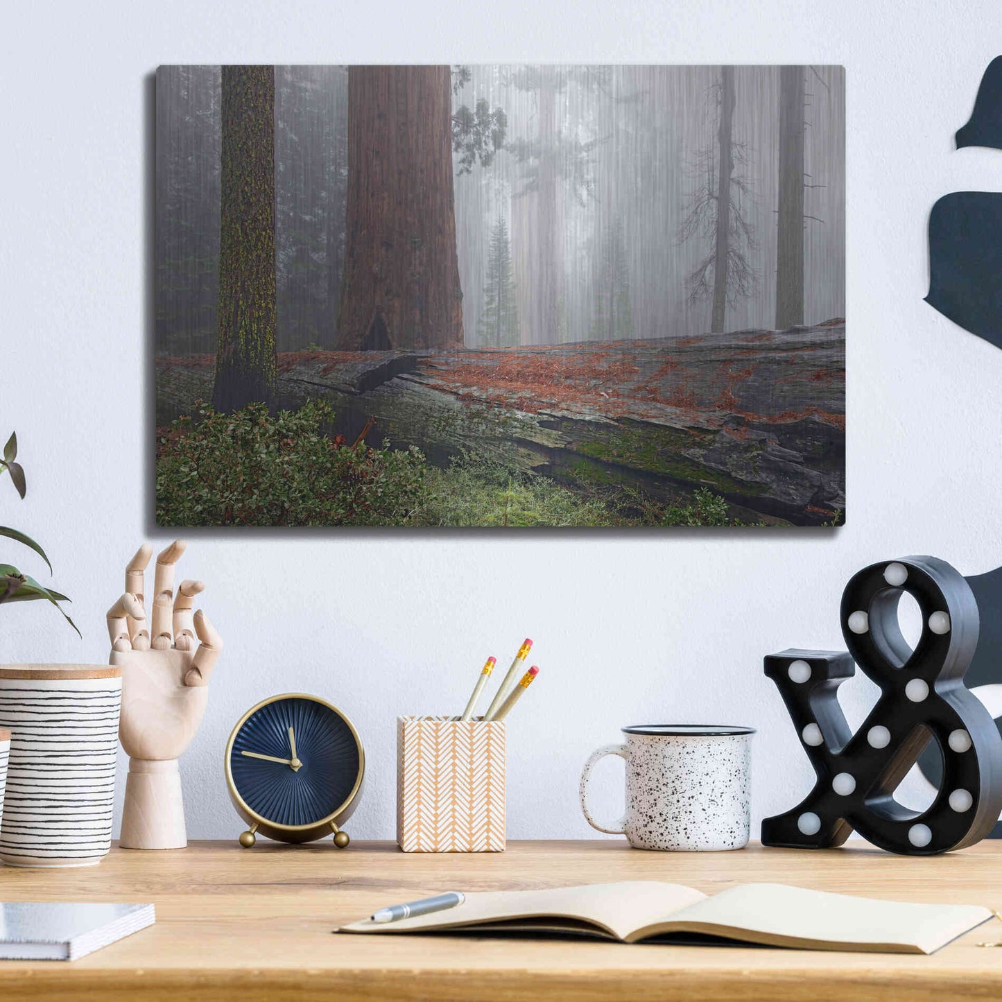 Luxe Metal Art 'Sequoia Fallen Giant' by Mike Jones, Metal Wall Art,16x12